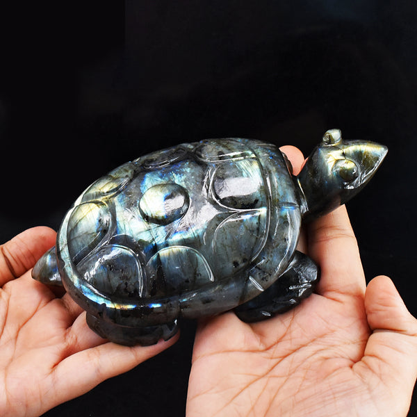 Exclusive 3122.00 Cts  Genuine Golden &  Blue Flash Labradorite Hand Carved  Crystal  Gemstone Turtle Carving