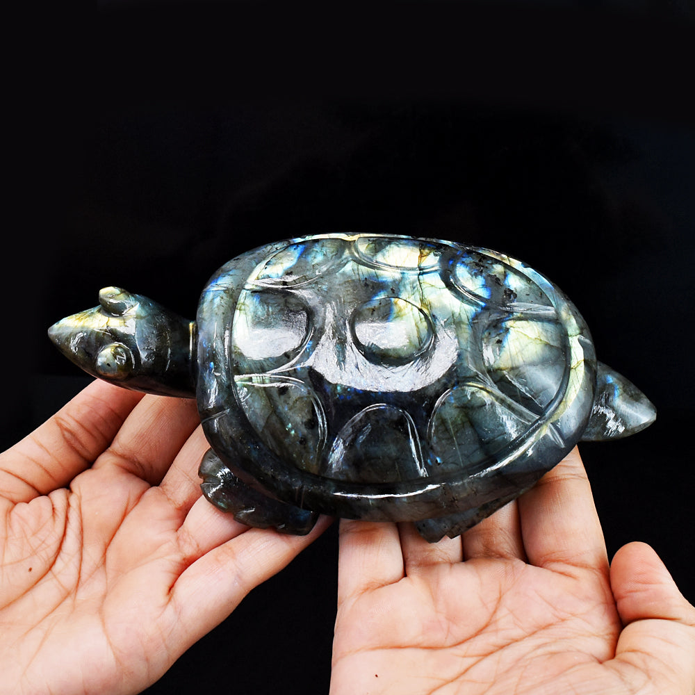 Exclusive 3122.00 Cts  Genuine Golden &  Blue Flash Labradorite Hand Carved  Crystal  Gemstone Turtle Carving