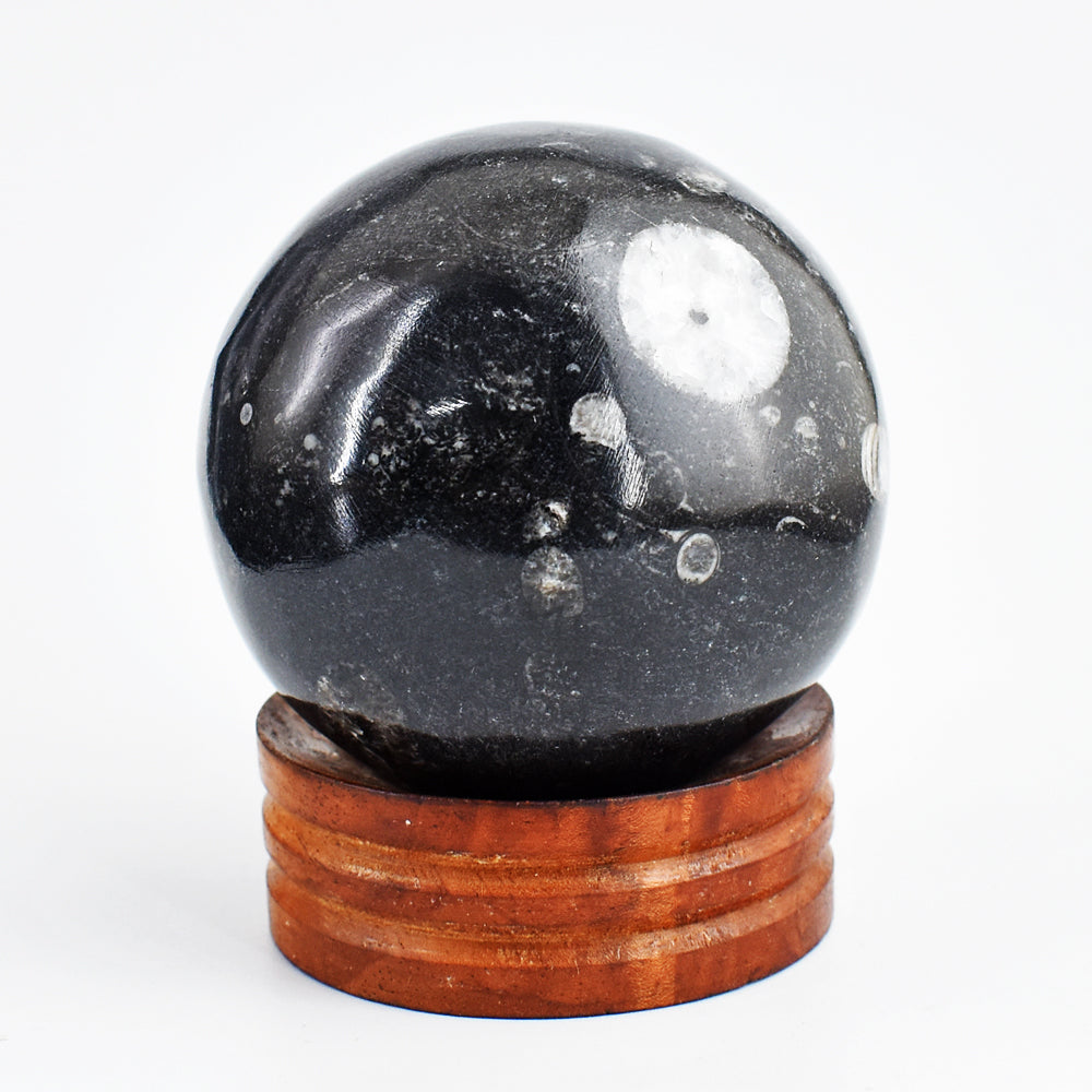 Awesome 1840.00 Cts Genuine Orthoceras Crystal Specimen Healing Gemstone Sphere Awesome 1840.00 Cts Genuine Orthoceras Crystal Specimen Healing Gemstone Sphere