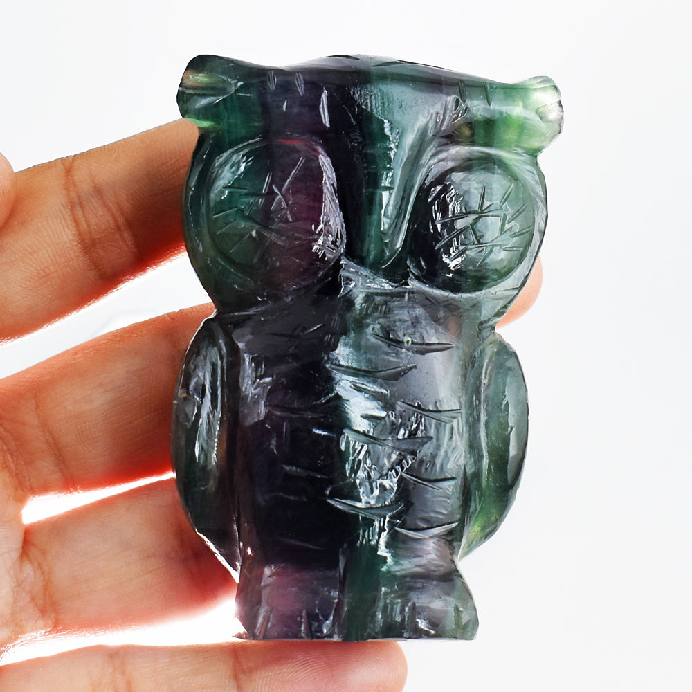 Natural 916.00 Cts  Genuine  Multicolor  Fluorite Hand Carved Crystal Gemstone Owl Carving