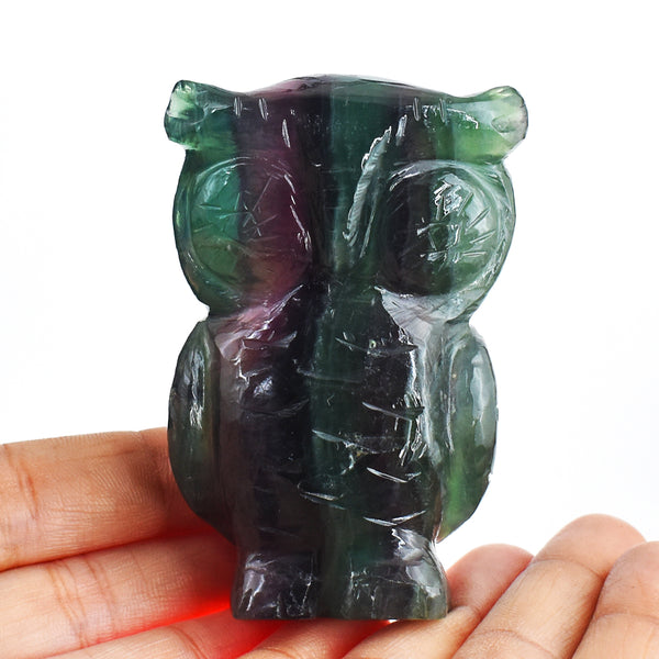 Natural 916.00 Cts  Genuine  Multicolor  Fluorite Hand Carved Crystal Gemstone Owl Carving