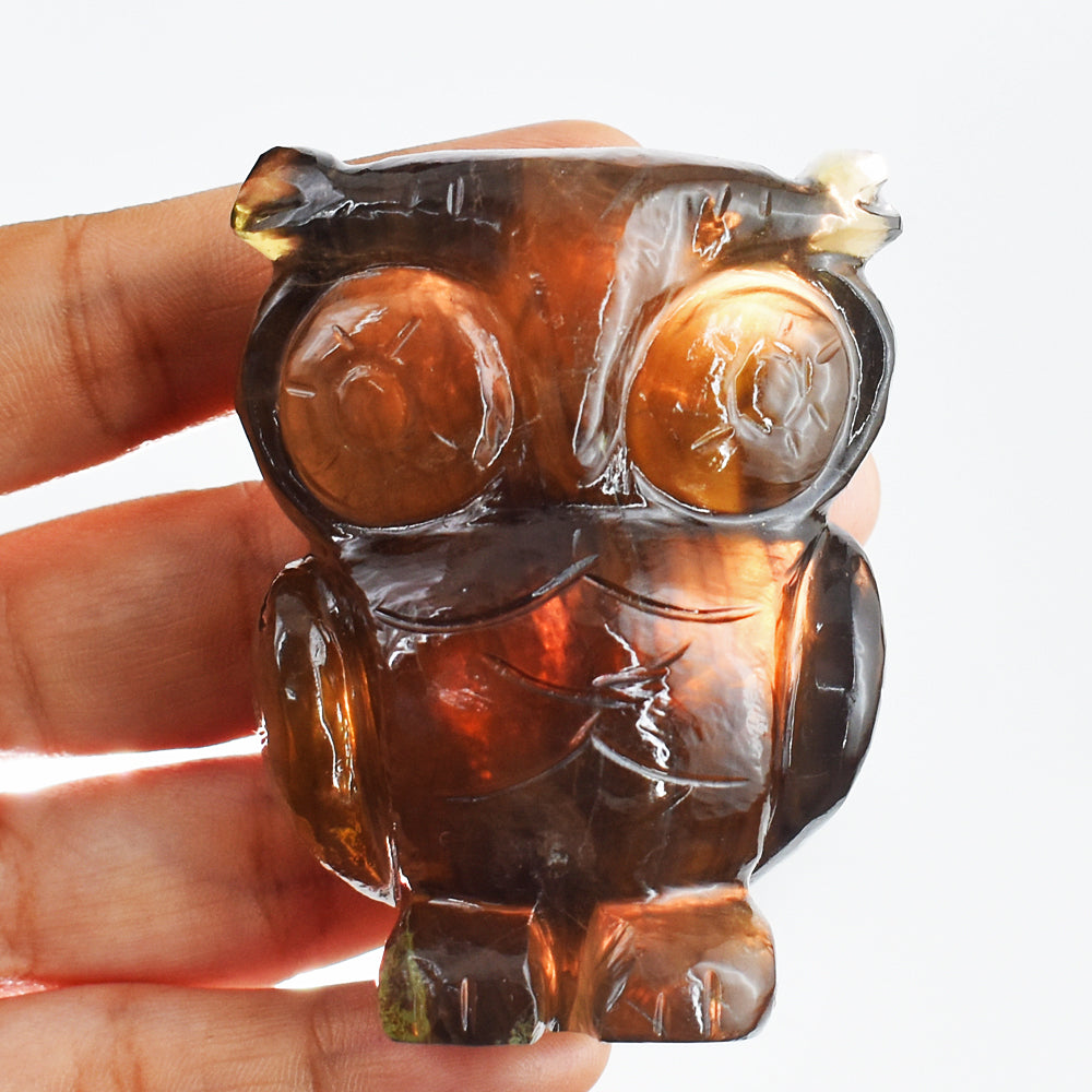 Artisian 1043.00 Carats Genuine Multicolor Fluorite Hand  Carved Crystal Gemstone Owl Carving