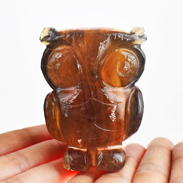 Artisian 1043.00 Carats Genuine Multicolor Fluorite Hand  Carved Crystal Gemstone Owl Carving
