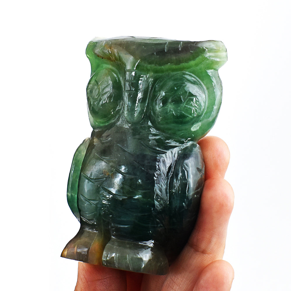 Exclusive  1237.00 Cts Genuine Multicolor Fluorite Hand Carved Crystal Gemstone Owl Carving