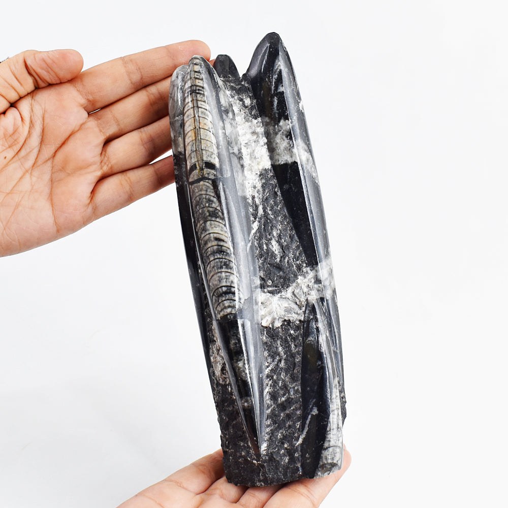 Artsisian 6290.00 Cts Genuine Orthoceras Free Form Crystal Specimen Healing Tower Artsisian 6290.00 Cts Genuine Orthoceras Free Form Crystal Specimen Healing Tower