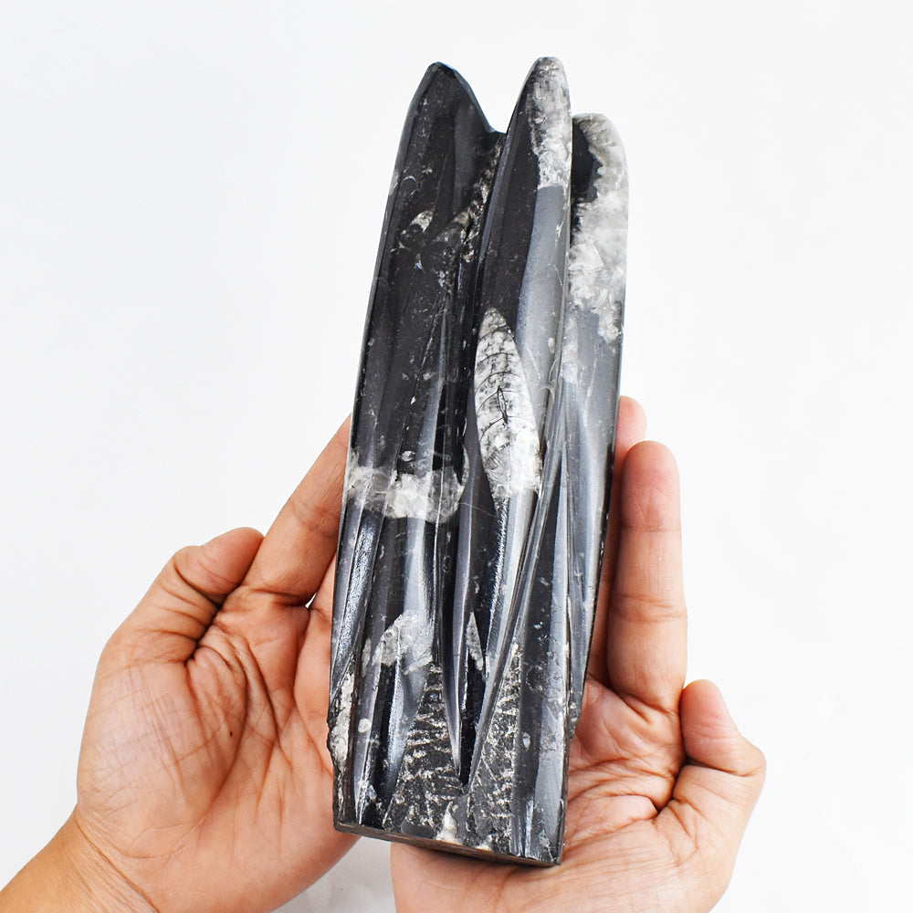 Artsisian 6290.00 Cts Genuine Orthoceras Free Form Crystal Specimen Healing Tower Artsisian 6290.00 Cts Genuine Orthoceras Free Form Crystal Specimen Healing Tower