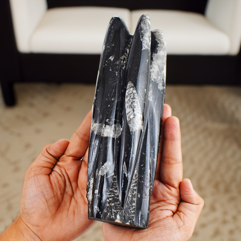 Artsisian 6290.00 Cts Genuine Orthoceras Free Form Crystal Specimen Healing Tower Artsisian 6290.00 Cts Genuine Orthoceras Free Form Crystal Specimen Healing Tower