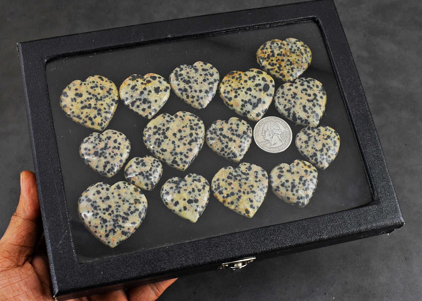 Beautiful 859.00 Carats Genuine  Dalmation Jasper  Untreated  Gemstone Heart  Cabochon  Lot Beautiful 859.00 Carats Genuine  Dalmation Jasper  Untreated  Gemstone Heart  Cabochon  Lot