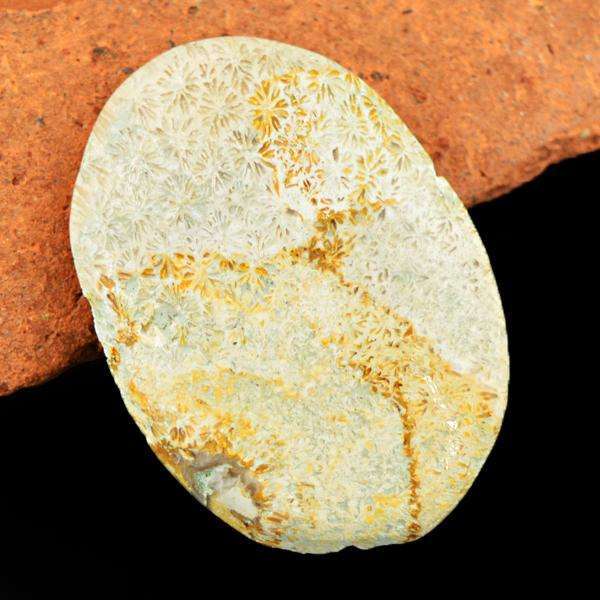 gemsmore:Amazing Coral Fossil Oval Shape Untreated Loose Gemstone