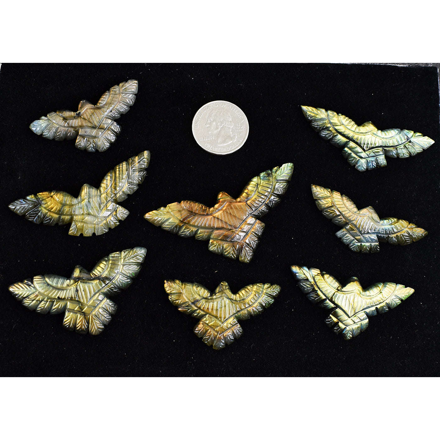 gemsmore:Amazing Golden & Orange Flash  Labradorite Untreated Eagle Cabochon Lot gemsmore:Amazing Golden & Orange Flash  Labradorite Untreated Eagle Cabochon Lot