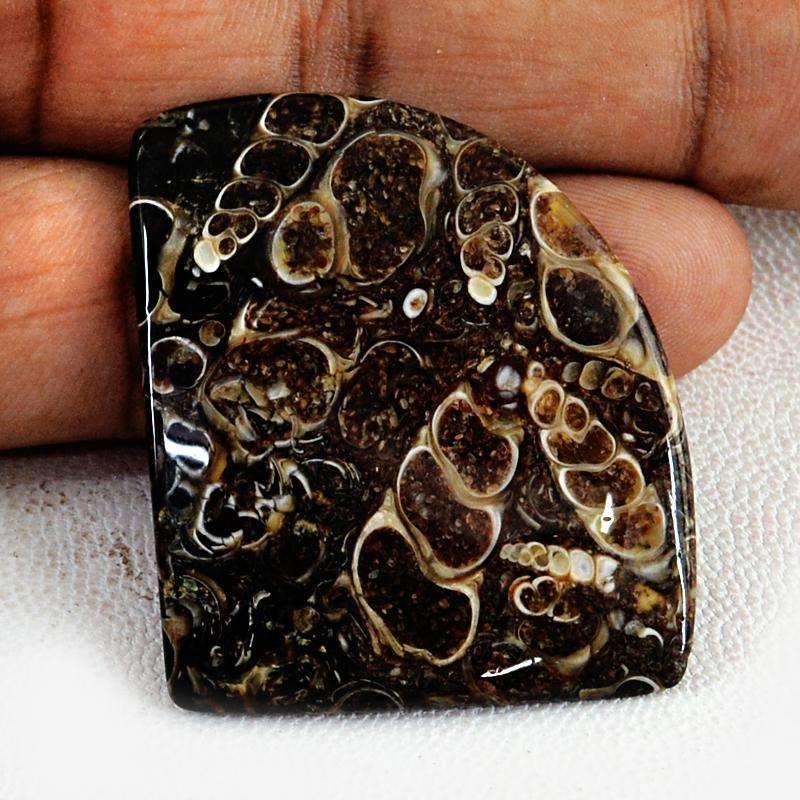 gemsmore:Amazing Natural Crinoid Fossil Gemstone gemsmore:Amazing Natural Crinoid Fossil Gemstone
