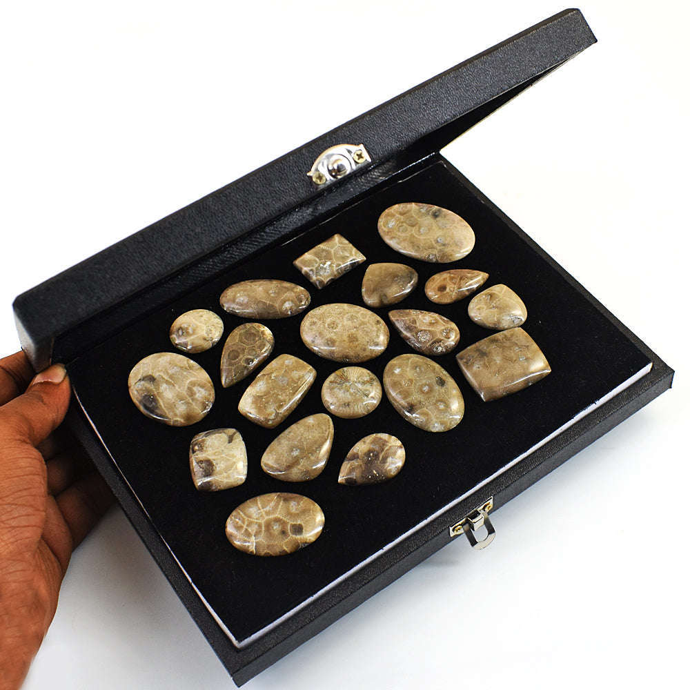 gemsmore:Beautiful Coral Fossil Untreated Gemstone Cabochon Lot gemsmore:Beautiful Coral Fossil Untreated Gemstone Cabochon Lot