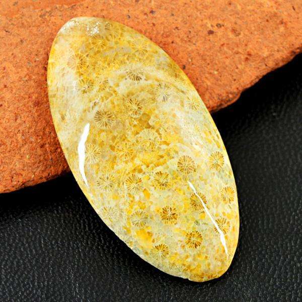 gemsmore:Genuine Coral Fossil Oval Shape Untreated Loose Gemstone gemsmore:Genuine Coral Fossil Oval Shape Untreated Loose Gemstone