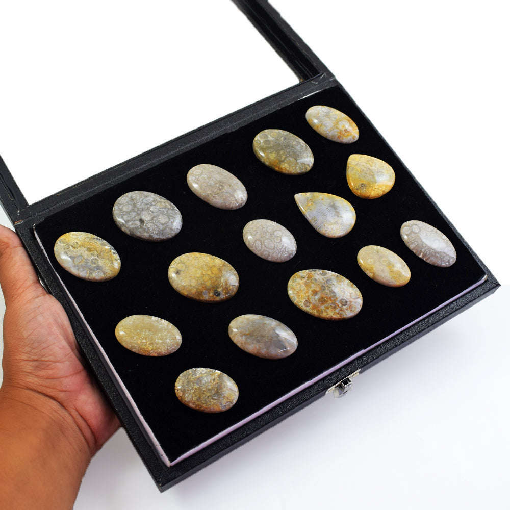 gemsmore:Genuine Coral Fossil Untreated Gemstone Cabochon Lot gemsmore:Genuine Coral Fossil Untreated Gemstone Cabochon Lot