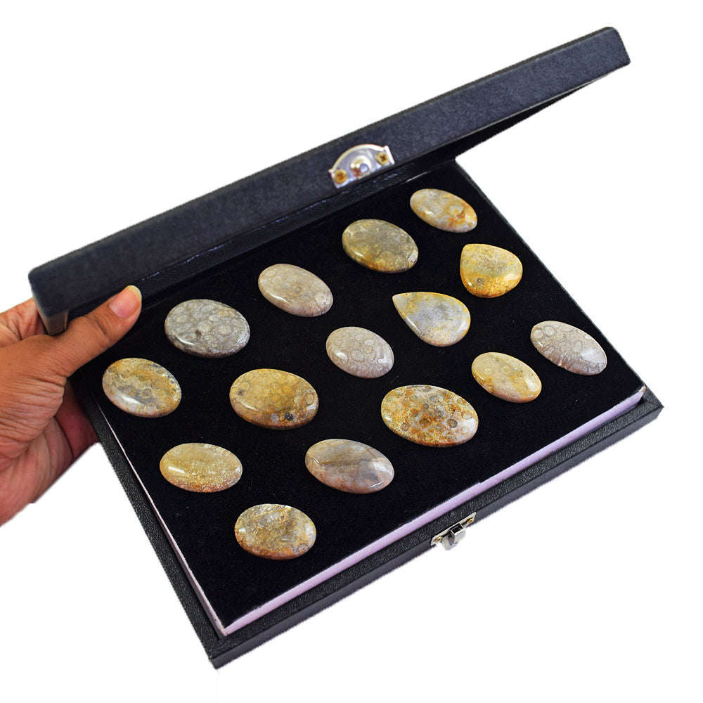 gemsmore:Genuine Coral Fossil Untreated Gemstone Cabochon Lot gemsmore:Genuine Coral Fossil Untreated Gemstone Cabochon Lot