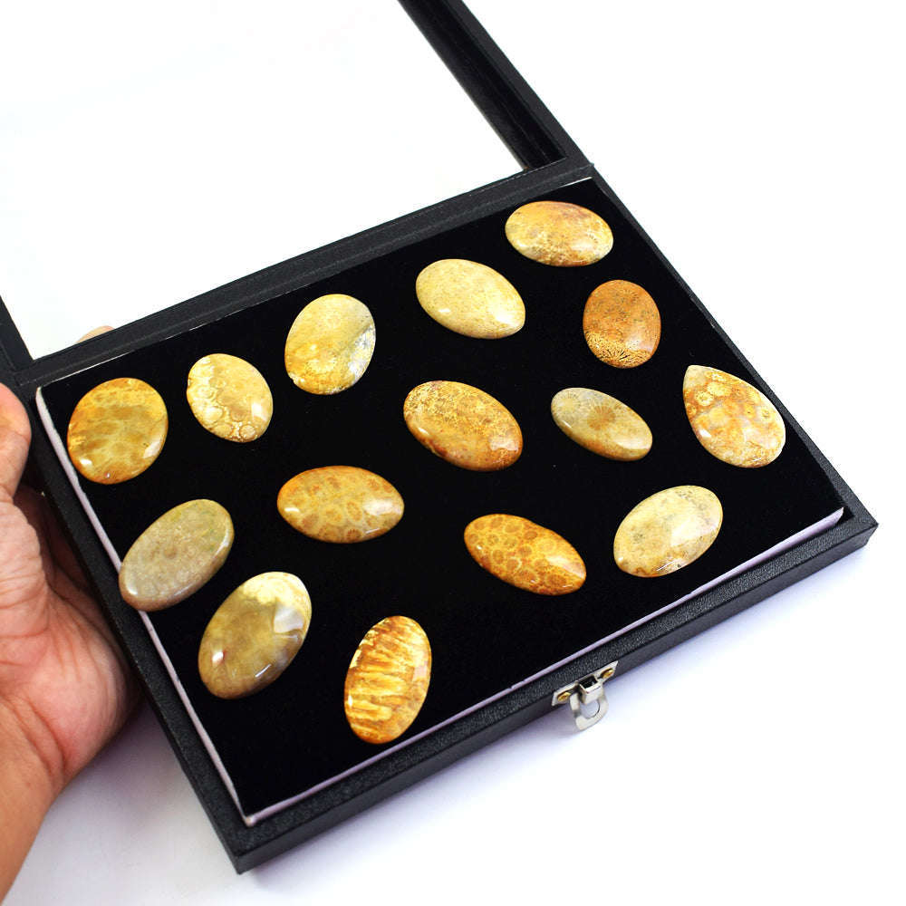 gemsmore:Genuine Coral Fossil Untreated Gemstone Cabochon Lot gemsmore:Genuine Coral Fossil Untreated Gemstone Cabochon Lot