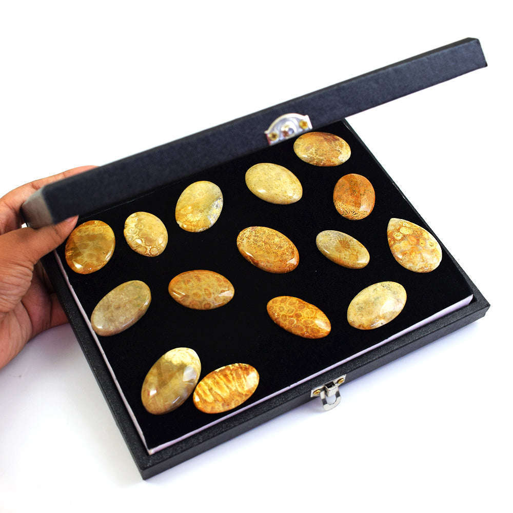 gemsmore:Genuine Coral Fossil Untreated Gemstone Cabochon Lot gemsmore:Genuine Coral Fossil Untreated Gemstone Cabochon Lot