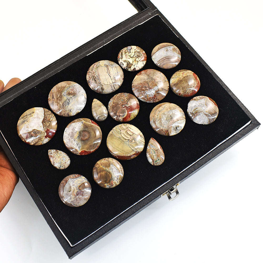 gemsmore:Genuine Mushroom Rhyolite Untreated Gemstone Cabochon Lot gemsmore:Genuine Mushroom Rhyolite Untreated Gemstone Cabochon Lot