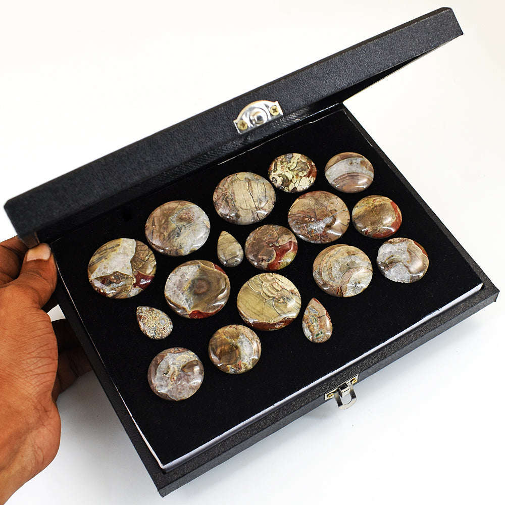 gemsmore:Genuine Mushroom Rhyolite Untreated Gemstone Cabochon Lot gemsmore:Genuine Mushroom Rhyolite Untreated Gemstone Cabochon Lot