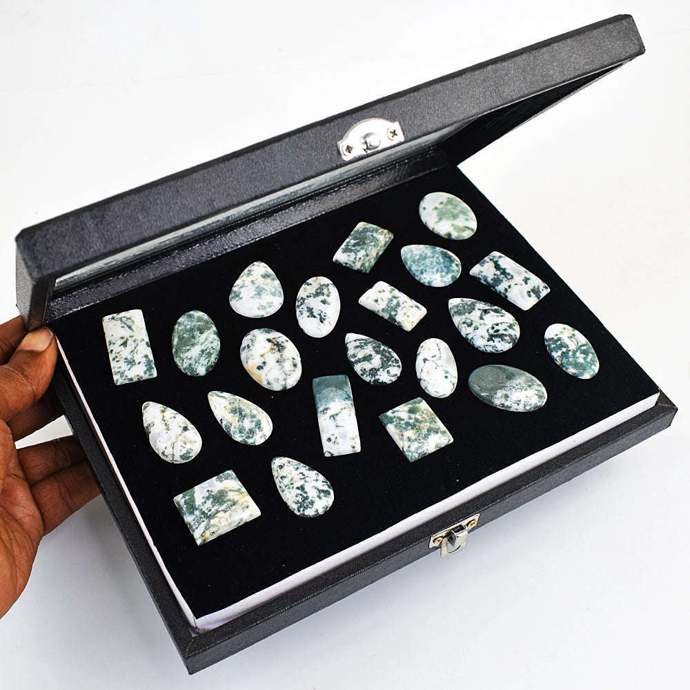 gemsmore:Genuine Tree Agate Gemstone Lot gemsmore:Genuine Tree Agate Gemstone Lot