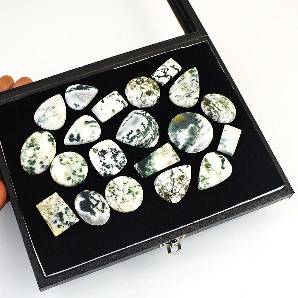 gemsmore:Genuine Tree Agate Untreated Gemstone Cabochon Lot gemsmore:Genuine Tree Agate Untreated Gemstone Cabochon Lot