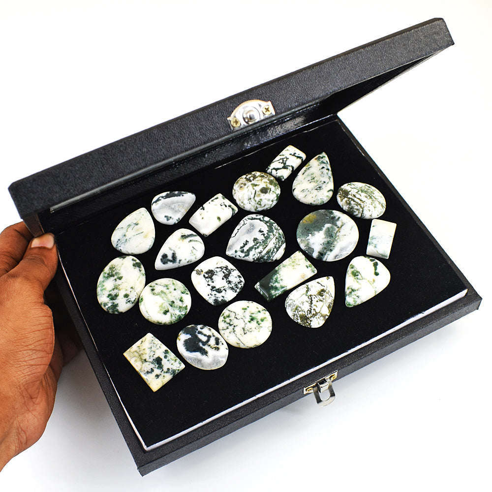 gemsmore:Genuine Tree Agate Untreated Gemstone Cabochon Lot gemsmore:Genuine Tree Agate Untreated Gemstone Cabochon Lot