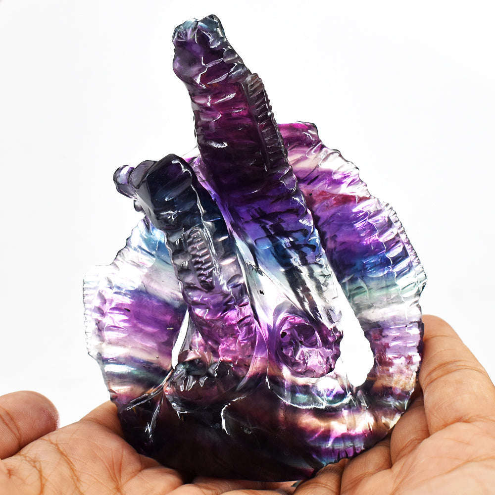 gemsmore:Gorgeous Multicolor Fluorite Hand Carved Genuine Crystal Seahorse Gemstone gemsmore:Gorgeous Multicolor Fluorite Hand Carved Genuine Crystal Seahorse Gemstone
