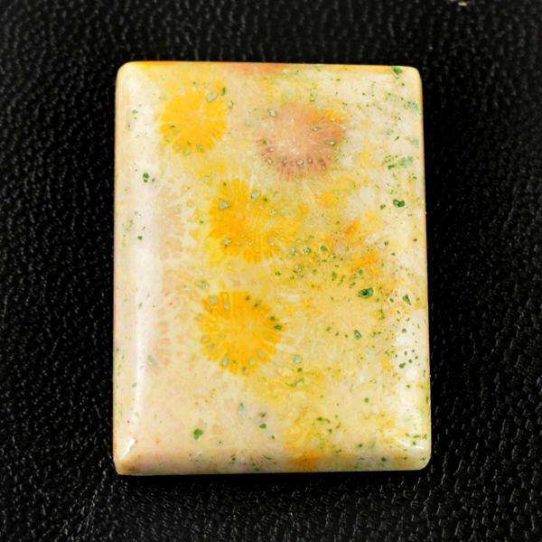 gemsmore:Natural Amazing Coral Fossil Untreated Loose Gemstone gemsmore:Natural Amazing Coral Fossil Untreated Loose Gemstone