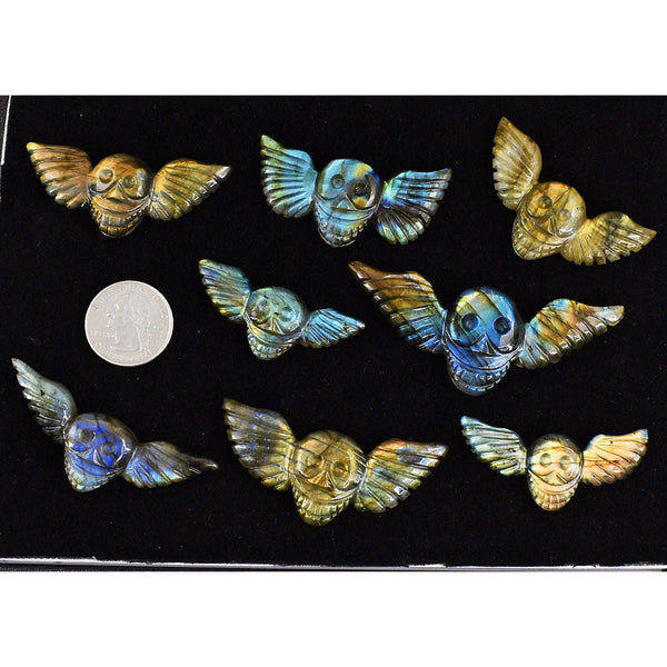 gemsmore:Natural Amazing Flash Labradorite Untreated Skull Wing Cabochon Lot