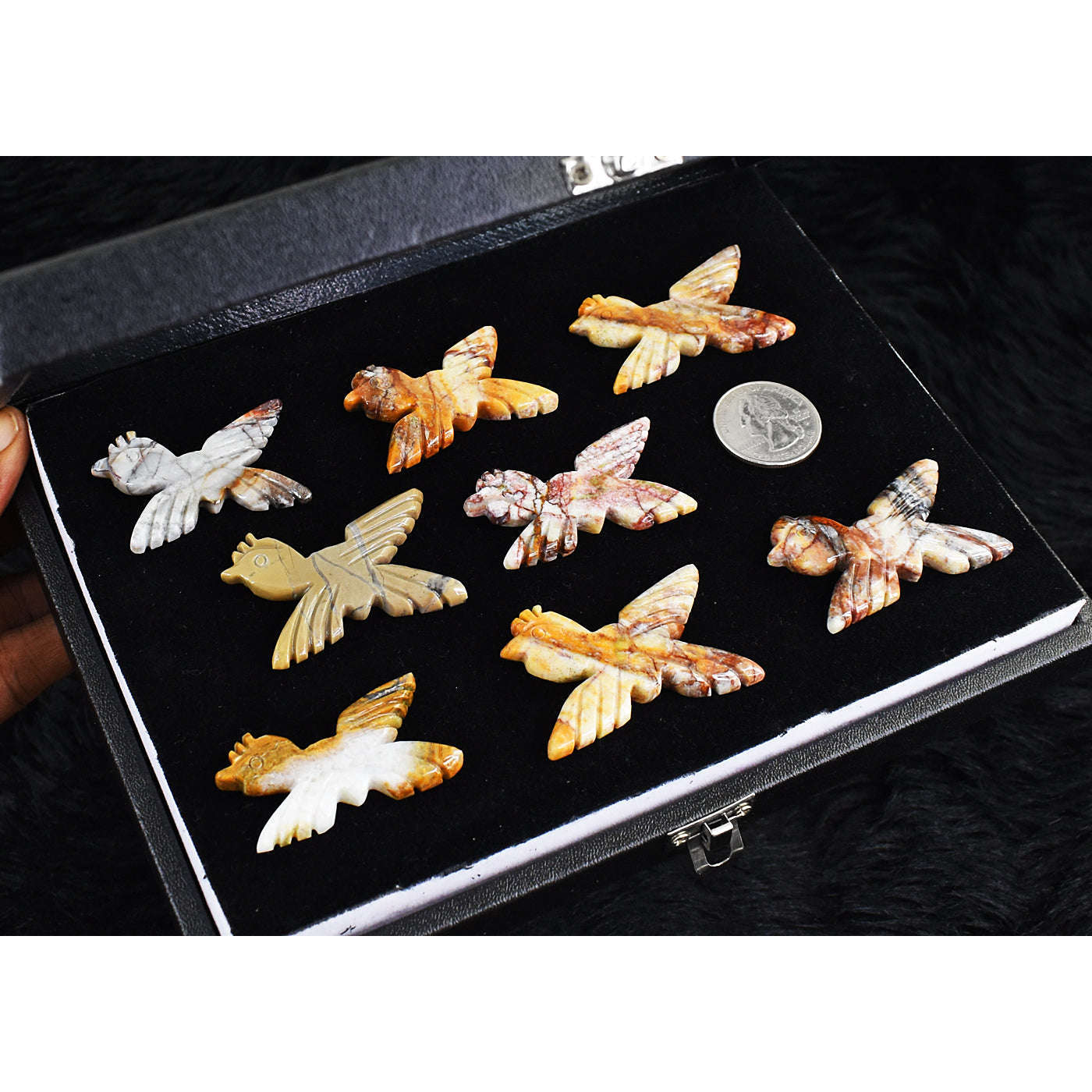 gemsmore:Natural Amazing Indian Opal Untreated Bird Cabochon Lot gemsmore:Natural Amazing Indian Opal Untreated Bird Cabochon Lot