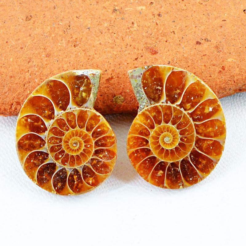 gemsmore:Natural Ammonite Loose Gemstone Pair gemsmore:Natural Ammonite Loose Gemstone Pair