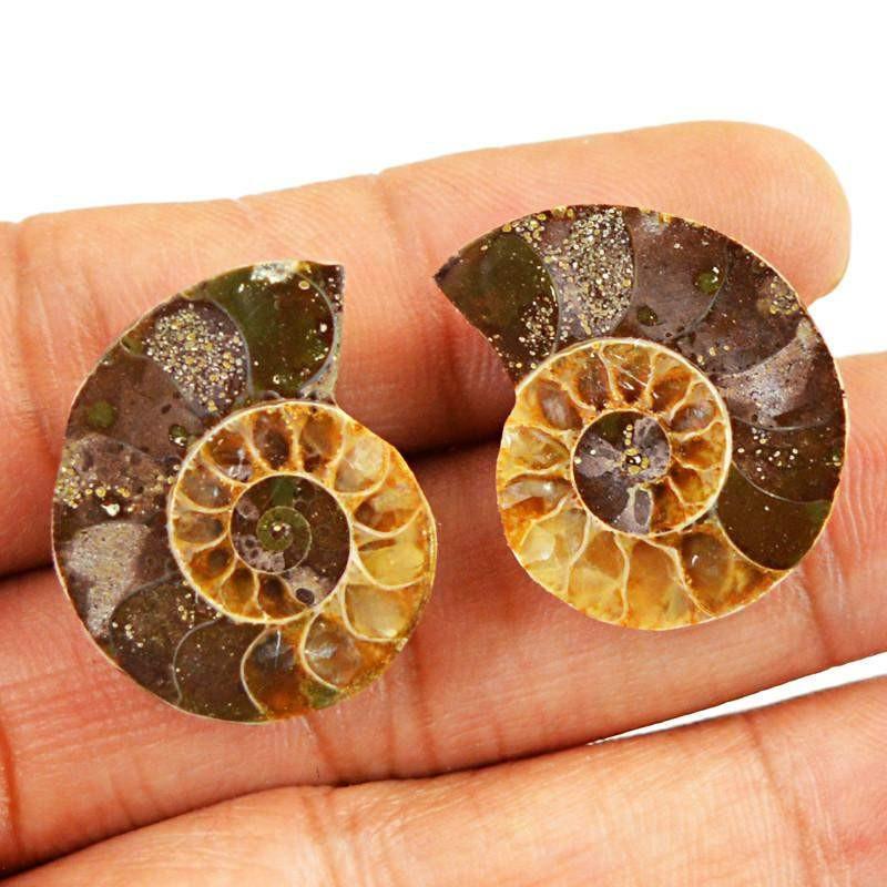 gemsmore:Natural Ammonite Untreated Loose Gemstone Pair gemsmore:Natural Ammonite Untreated Loose Gemstone Pair