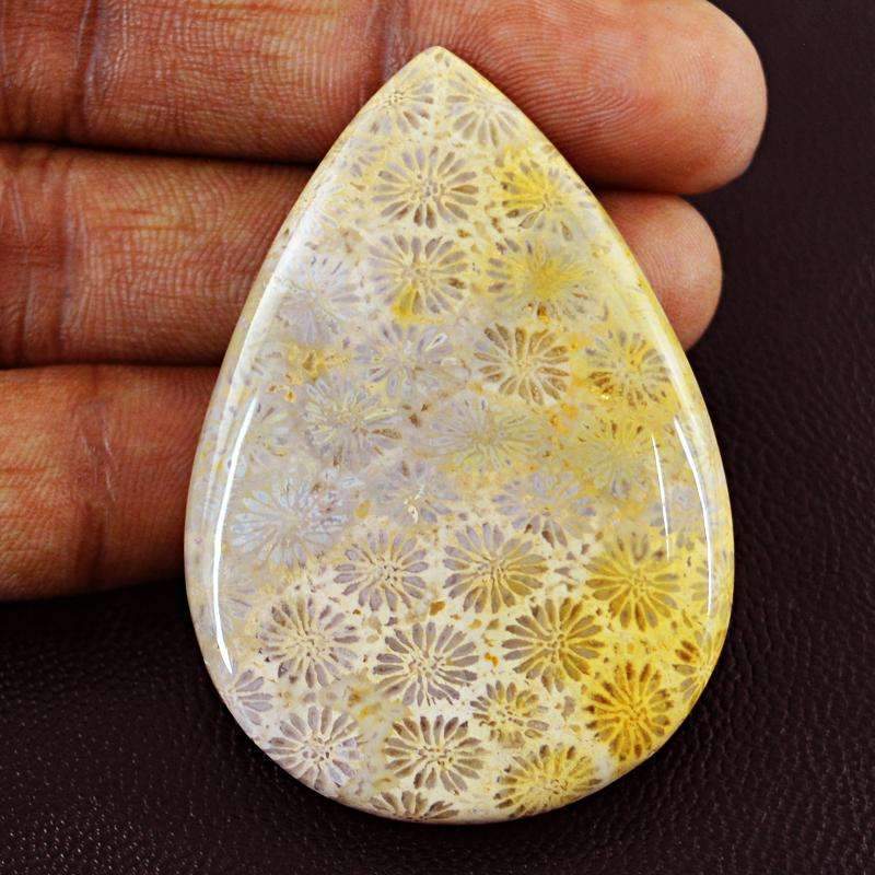 gemsmore:Natural Coral Fossil Gemstone - Genuine Pear Shape gemsmore:Natural Coral Fossil Gemstone - Genuine Pear Shape