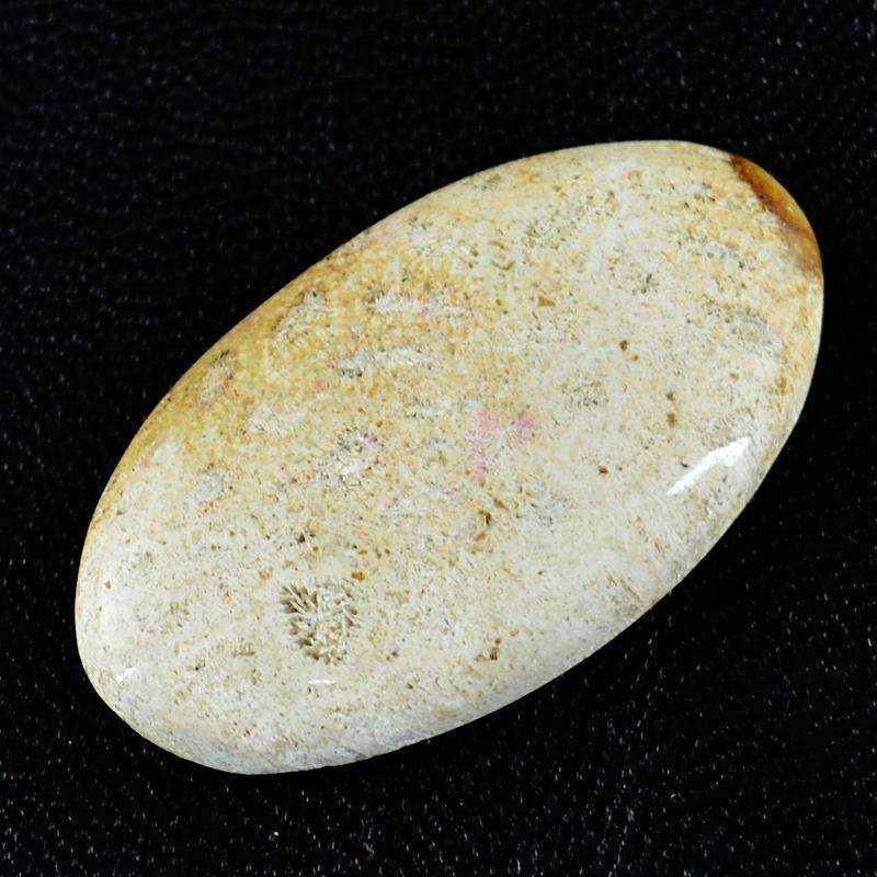 gemsmore:Natural Coral Fossil Gemstone - Unheated Oval Shape gemsmore:Natural Coral Fossil Gemstone - Unheated Oval Shape