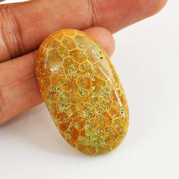 gemsmore:Natural Coral Fossil Oval Shape Untreated Loose Gemstone gemsmore:Natural Coral Fossil Oval Shape Untreated Loose Gemstone