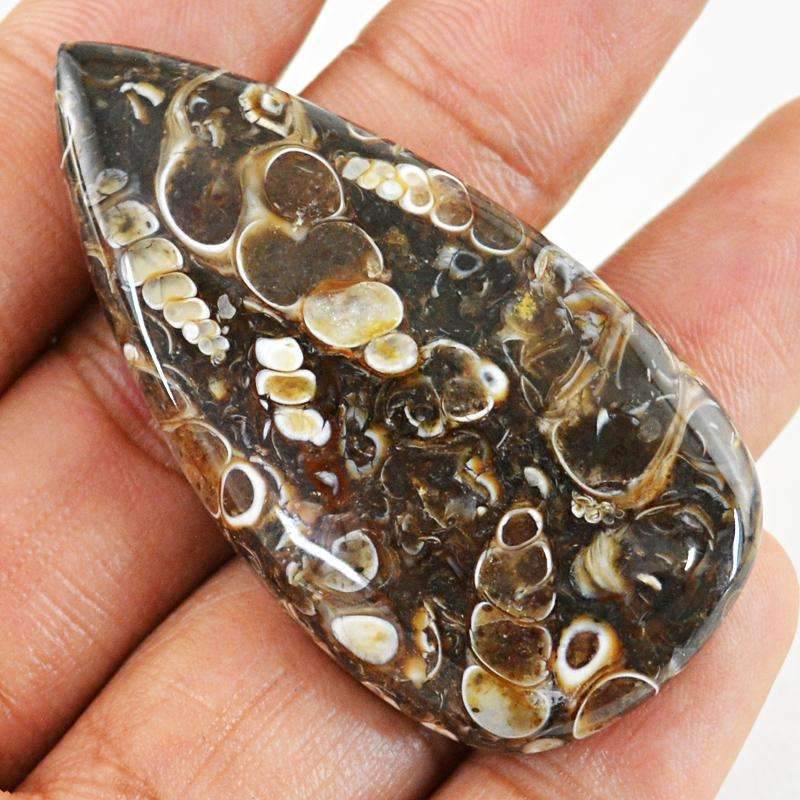 gemsmore:Natural Crinoid Fossil Gemstone - Pear Shape gemsmore:Natural Crinoid Fossil Gemstone - Pear Shape