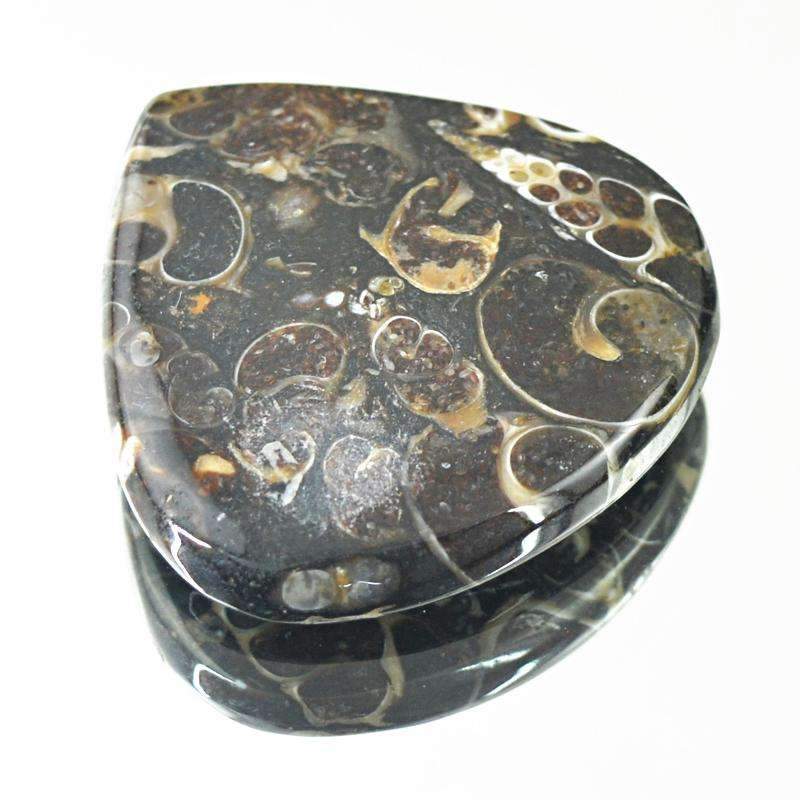 gemsmore:Natural Crinoid Fossil Gemstone - Pear Shape gemsmore:Natural Crinoid Fossil Gemstone - Pear Shape