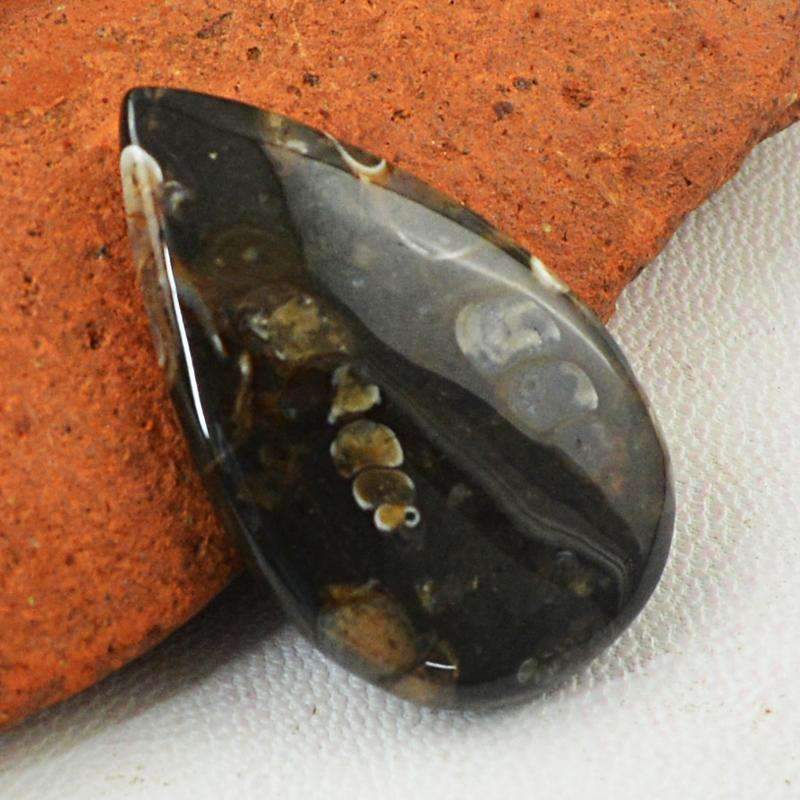 gemsmore:Natural Crinoid Fossil Gemstone - Pear Shape gemsmore:Natural Crinoid Fossil Gemstone - Pear Shape