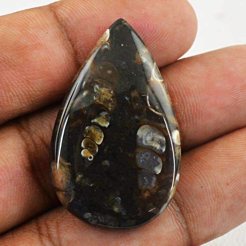 gemsmore:Natural Crinoid Fossil Gemstone - Pear Shape gemsmore:Natural Crinoid Fossil Gemstone - Pear Shape