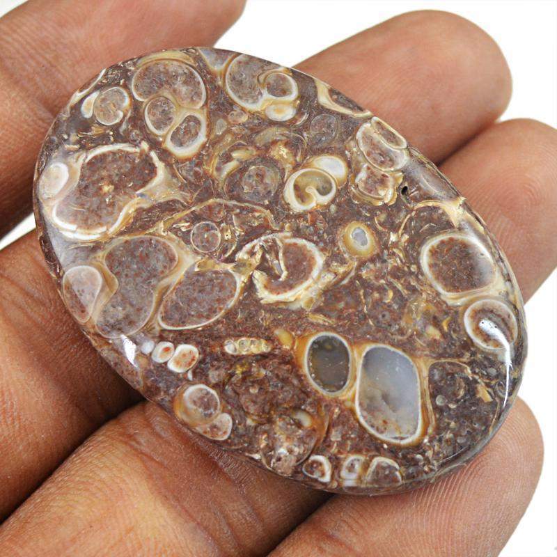 gemsmore:Natural Crinoid Fossil Oval Shape Loose Gemstone gemsmore:Natural Crinoid Fossil Oval Shape Loose Gemstone
