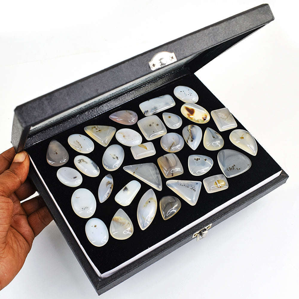 gemsmore:Natural Montana Agate Gemstone  Lot gemsmore:Natural Montana Agate Gemstone  Lot