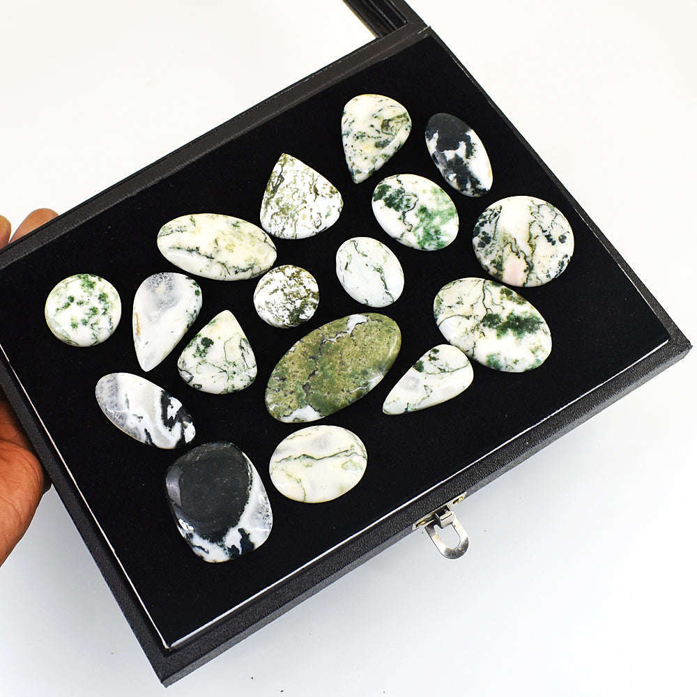 gemsmore:Natural Tree Agate Untreated Gemstone Cabochon Lot gemsmore:Natural Tree Agate Untreated Gemstone Cabochon Lot