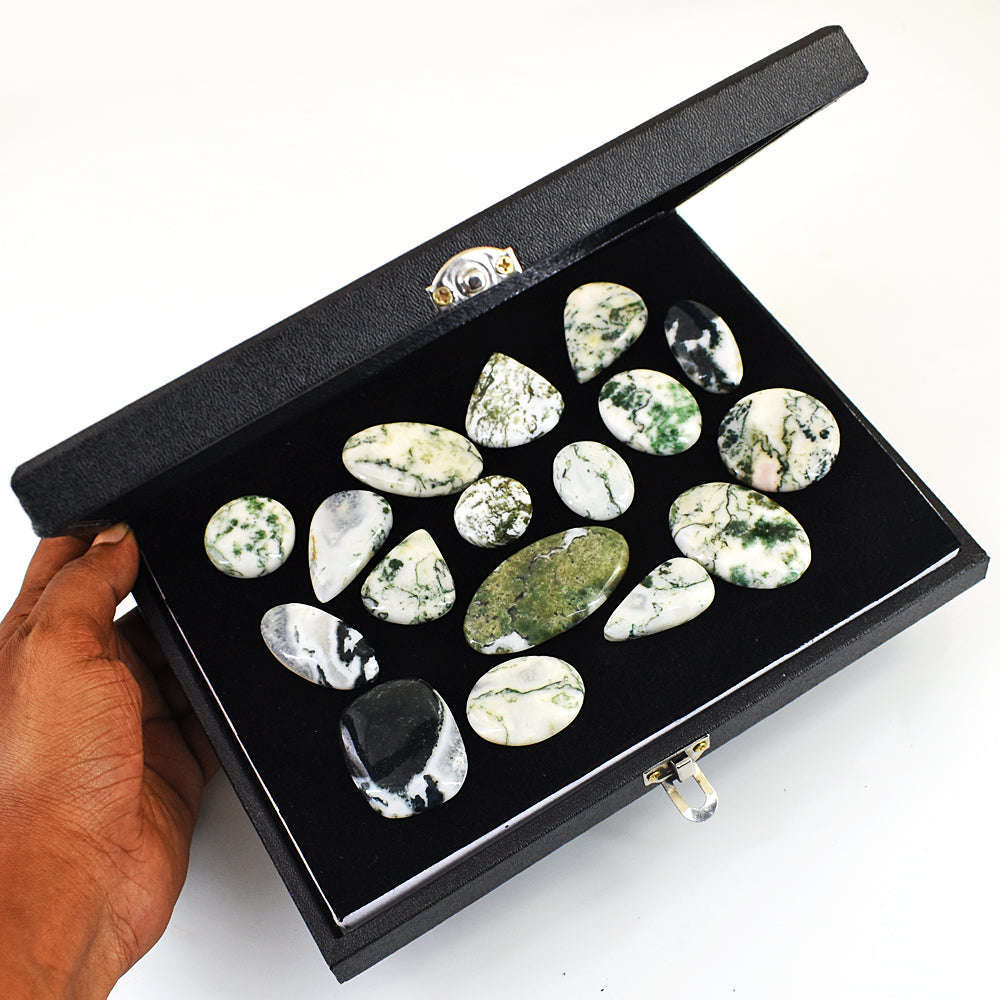 gemsmore:Natural Tree Agate Untreated Gemstone Cabochon Lot gemsmore:Natural Tree Agate Untreated Gemstone Cabochon Lot