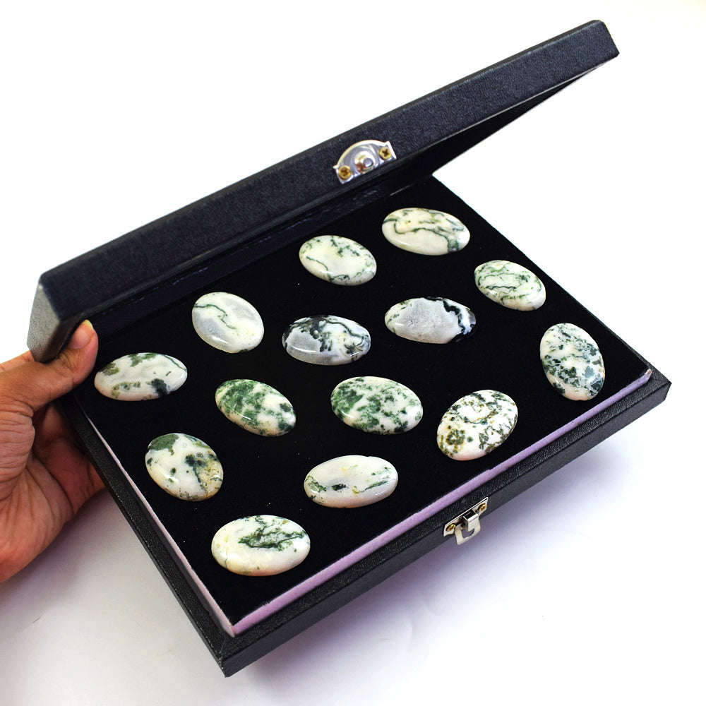 gemsmore:Natural Tree Agate Untreated Gemstone Cabochon Lot gemsmore:Natural Tree Agate Untreated Gemstone Cabochon Lot