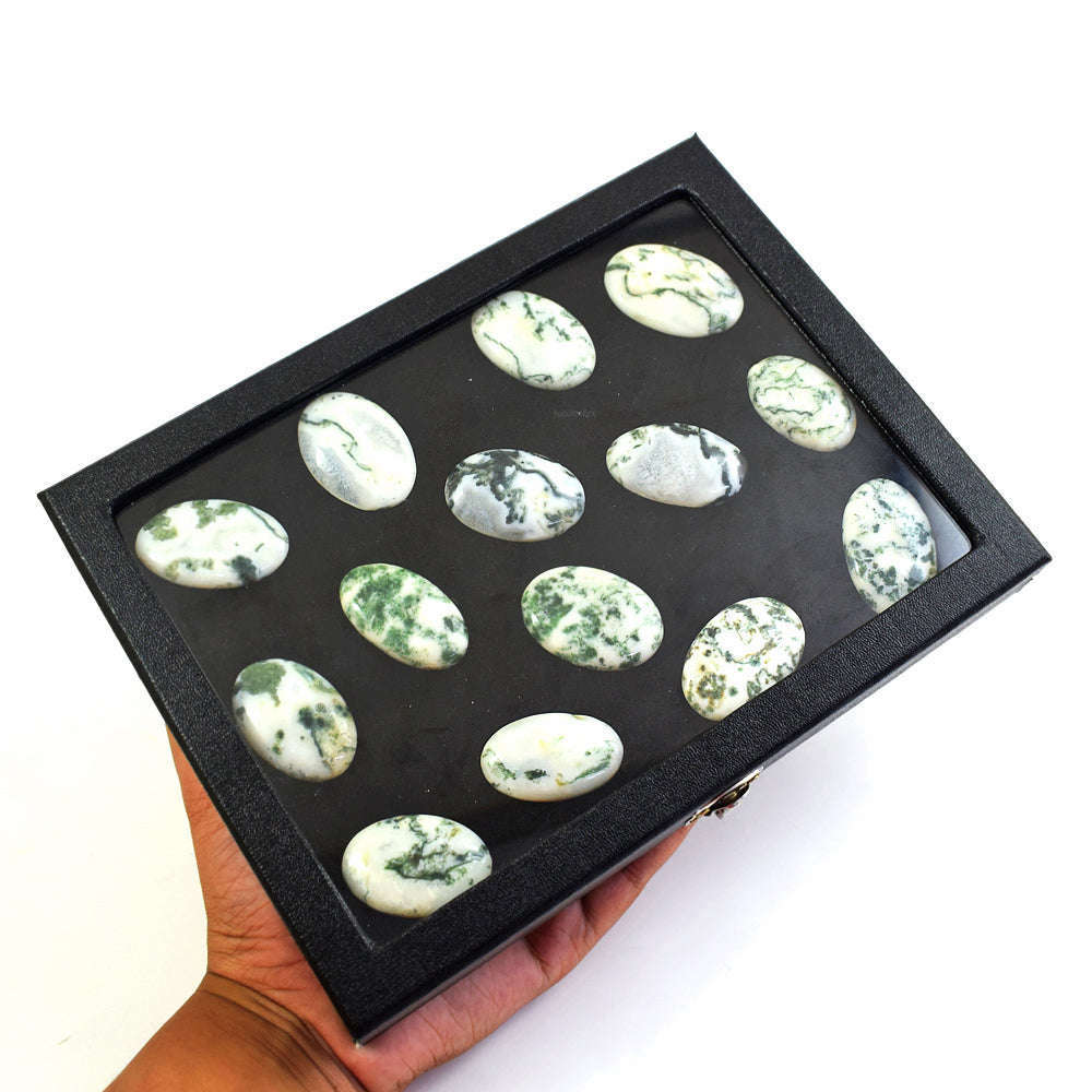 gemsmore:Natural Tree Agate Untreated Gemstone Cabochon Lot gemsmore:Natural Tree Agate Untreated Gemstone Cabochon Lot