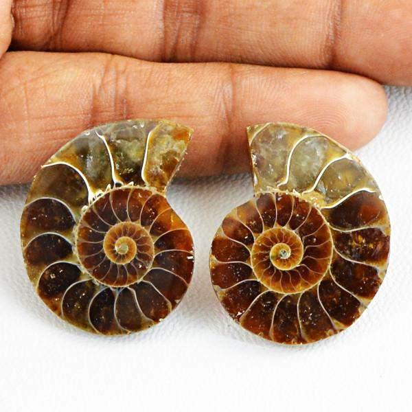gemsmore:Natural Untreated Ammonite Gems Pair gemsmore:Natural Untreated Ammonite Gems Pair