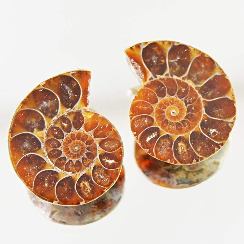 gemsmore:Natural Untreated Ammonite Loose Gemstone Pair gemsmore:Natural Untreated Ammonite Loose Gemstone Pair