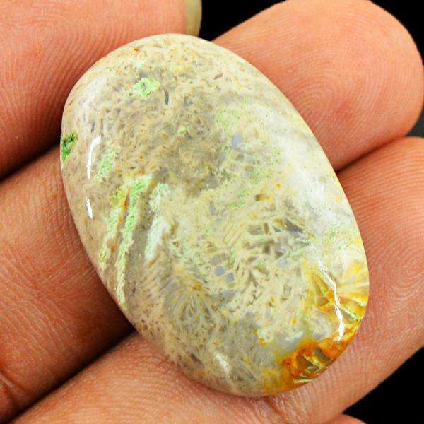gemsmore:Natural Untreated Coral Fossil Oval Shape Loose Gemstone