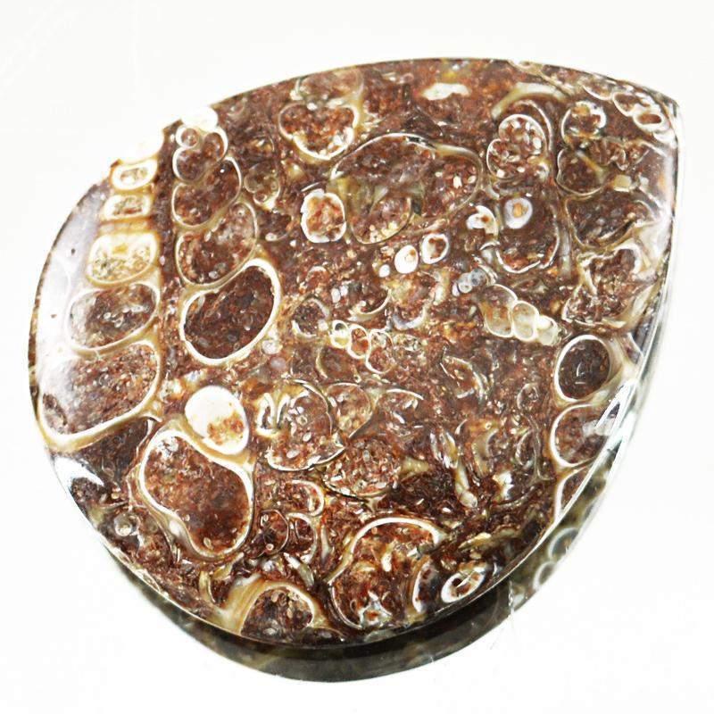 gemsmore:Natural Untreated Crinoid Fossil Pear Shape Gemstone gemsmore:Natural Untreated Crinoid Fossil Pear Shape Gemstone