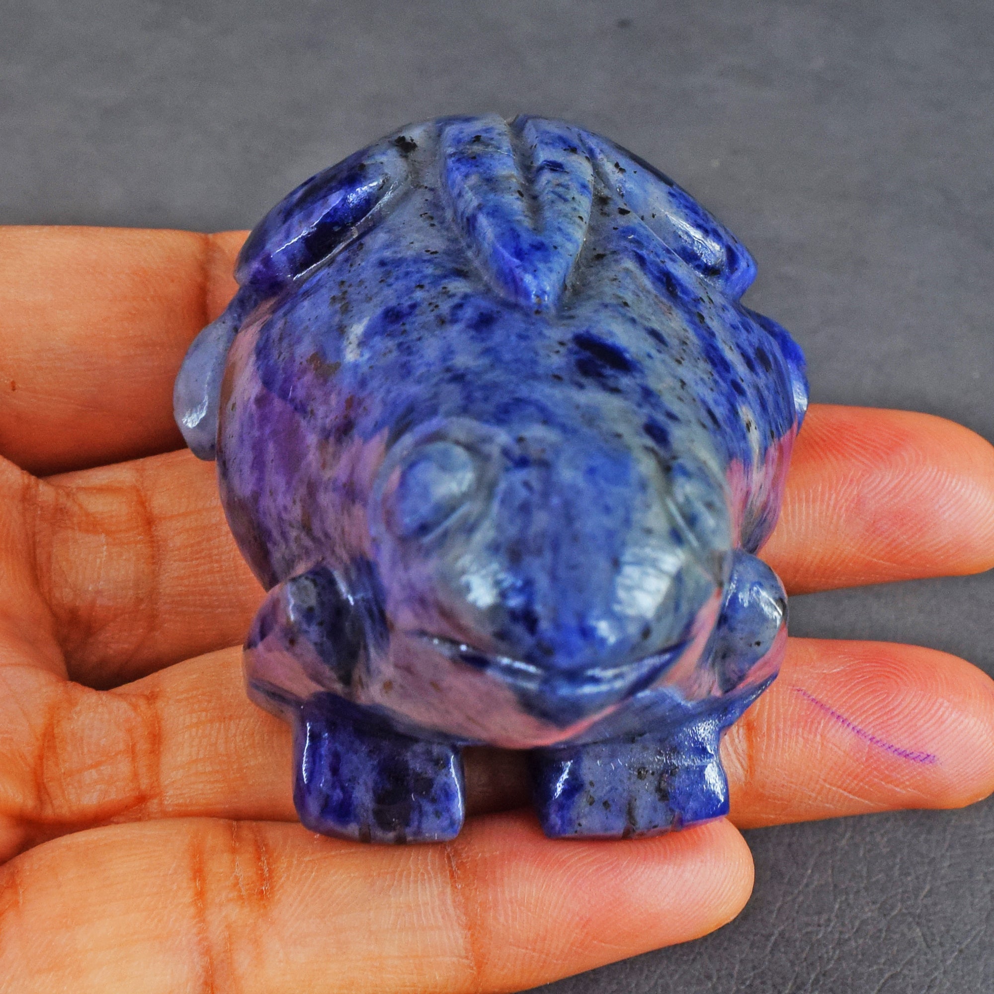 Genuine 535.00  Cts Sodalite  Hand Carved Genuine Crystal Gemstone Carving Frog